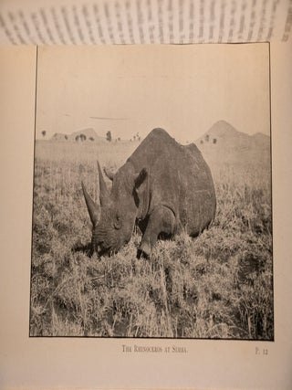 My African Journey