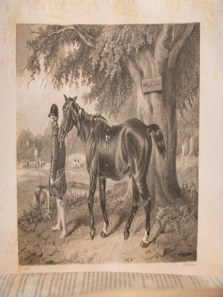 The Sporting Review