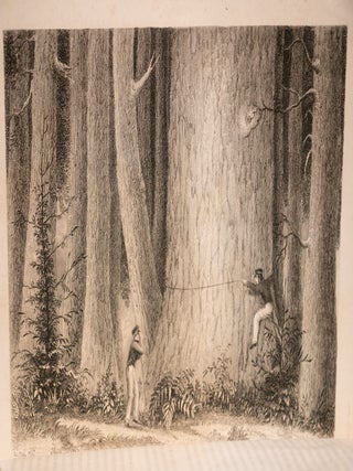 Narrative of the United States Exploring Expedition During The Years 1838, 1839, 1840, 1841, 1842.