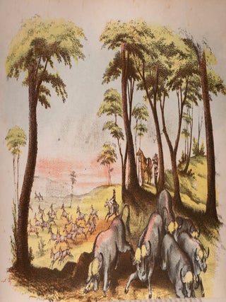 Wild Scenes and Wild Hunters of the World