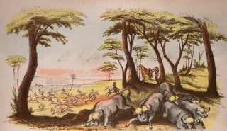 Wild Scenes and Wild Hunters of the World