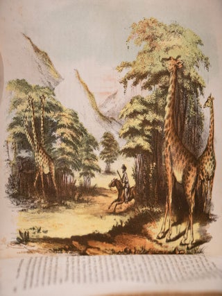 Wild Scenes and Wild Hunters of the World