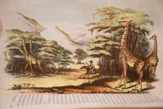 Wild Scenes and Wild Hunters of the World