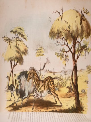 Wild Scenes and Wild Hunters of the World