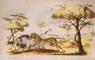 Wild Scenes and Wild Hunters of the World