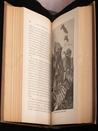 H.M. Stanley's Wonderful Adventures in Africa
