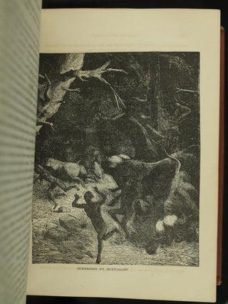 The Life and Labors of David Livingstone