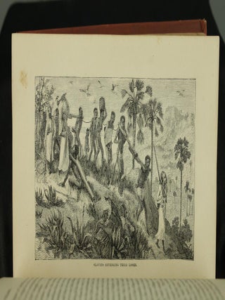 The Life and Labors of David Livingstone