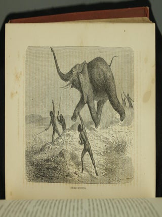The Life and Labors of David Livingstone