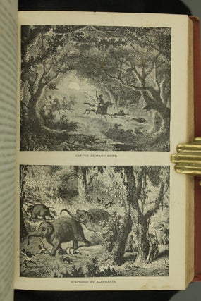 The Life and Labors of David Livingstone
