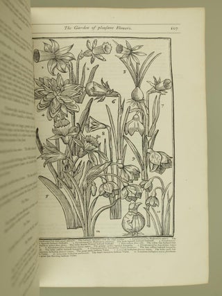 Paradisi In Sole