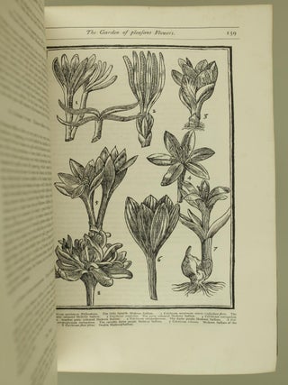 Paradisi In Sole