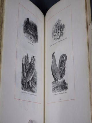 Bewick's Select Fables of Aesop