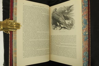 The Illustrated Natural History