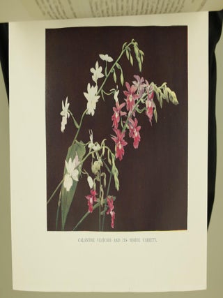 Orchids for Everyone