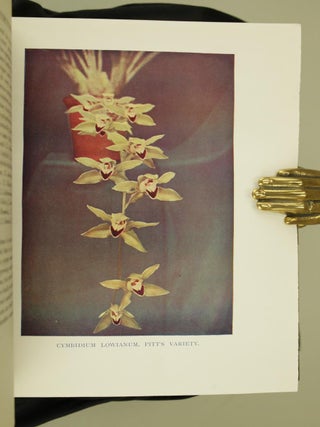 Orchids for Everyone