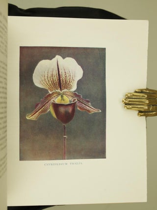 Orchids for Everyone