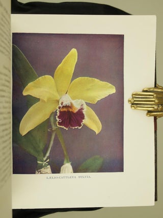 Orchids for Everyone