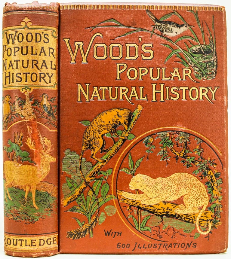 Item #400 The Popular Natural History. Rev. J. G. Wood.
