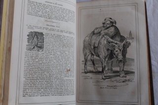 Adventures of Don Quixote de la Mancha