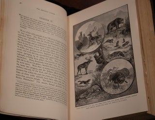 1882 Our Western Empire Pioneers Indian Wars Massacres Illustrated Fine Binding