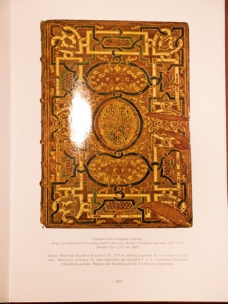 Medieval Medicine Book of Christoph Wirsung Renaissance Middle Ages 13" Tall