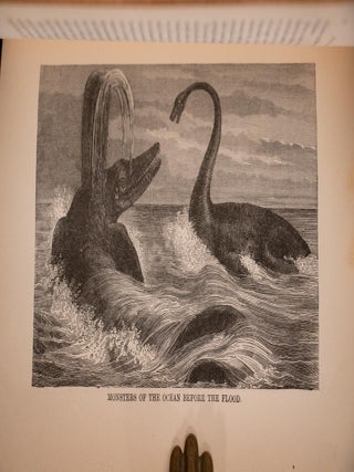 1886 The Water World Essex Whale Hunting Moby Dick Pirates Sea Monsters Fine