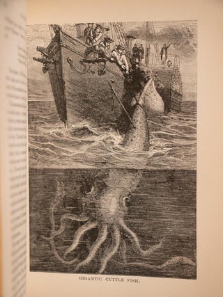 1886 The Water World Essex Whale Hunting Moby Dick Pirates Sea Monsters Fine