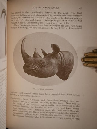 Records of Big Game