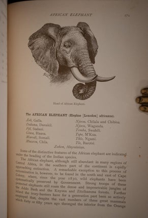Records of Big Game