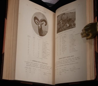 Records of Big Game