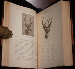 Records of Big Game