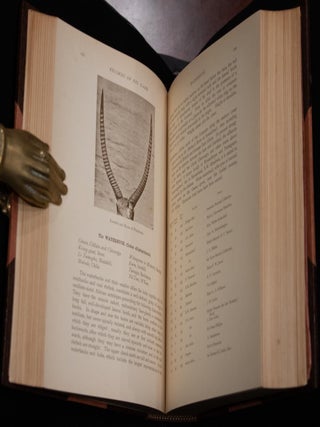 Records of Big Game