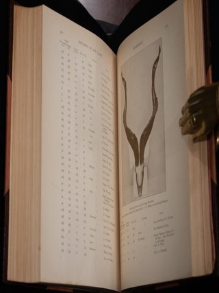 Records of Big Game