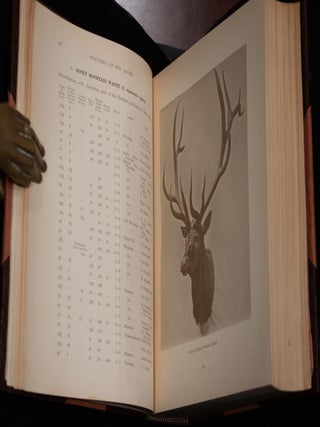 Records of Big Game
