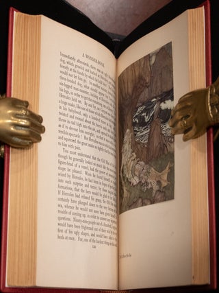 A WONDER BOOK