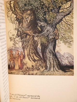 A WONDER BOOK