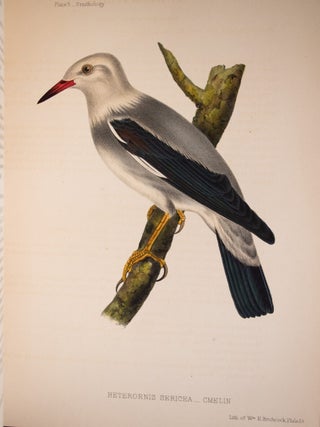 Narrative of the Expedition of an American Squadron to the China Seas and Japan