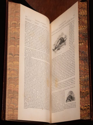 The Pictorial Field-Book of The Revolution